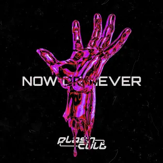 NOW OR NEVER by Flashcult