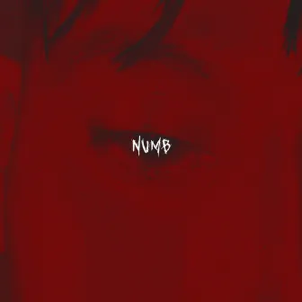 NUMB by ERA