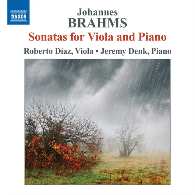 Clarinet Sonata No. 2 in E-Flat Major, Op. 120 No. 2: I. Allegro amabile (Version for Viola & Piano)