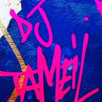 Where You From / Own It by Dj Tameil