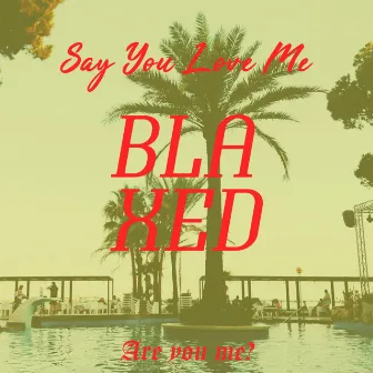 Say You Love Me by BLAXED