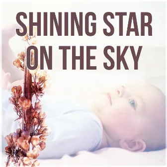 Shining Star on the Sky - Baby Sleep Aid, Help Your Baby Sleep, Soft Music to Relax for Newborn, Songs for Toddlers by Unknown Artist