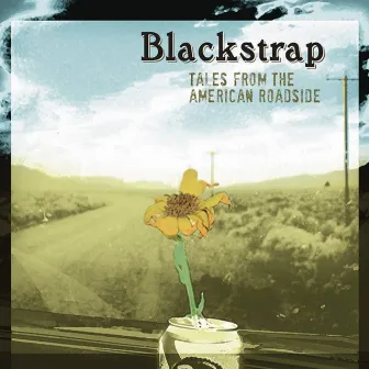 Tales from the American Roadside by Blackstrap