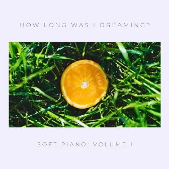 how long was i dreaming? by choice fruits