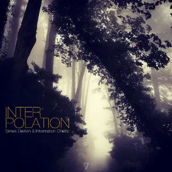 Interpolation by Simak Delitvin