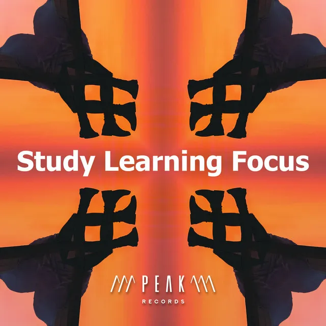 Study Learning Focus