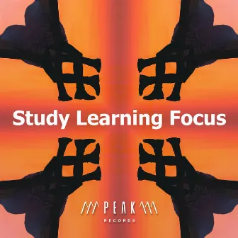 Study Learning Focus by Study Learn