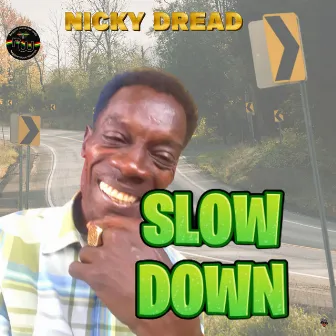 Slow Down by Nicky Dread