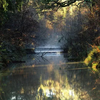 The Dartmoor Suite by Paul Field