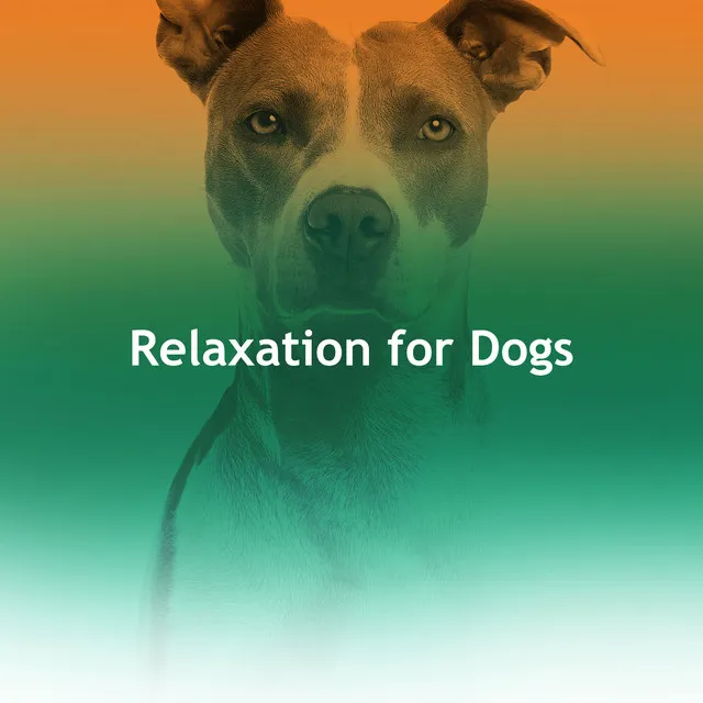 Relaxation for Dogs