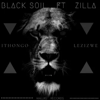 IThonga lezizwe by Zilla