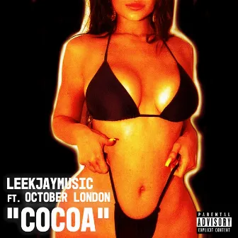 Cocoa by Leekjaymusic