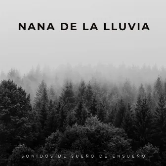 Nana De La Lluvia: Sonidos De Sueño De Ensueño by Oliver durmiendo