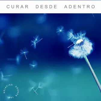 Curar Desde Adentro by Música Para Meditar & Agradecer