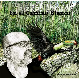 En El Camino Blanco by Enrique Toussaint