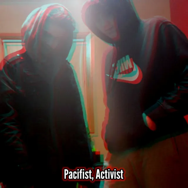 Pacifist, Activist