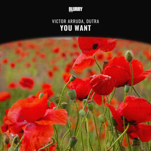 You Want - Extended Mix