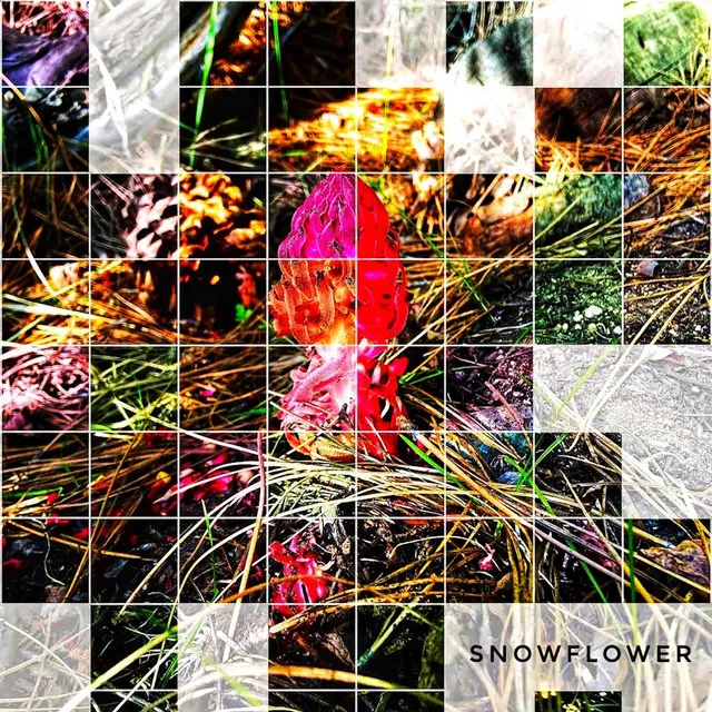 Snowflower - Instrumental