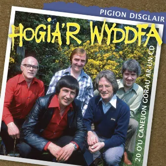 Pigion Disglair Hogia'R Wyddfa by Hogia'R Wyddfa