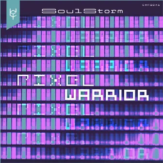 Pixel Warrior by SoulStorm