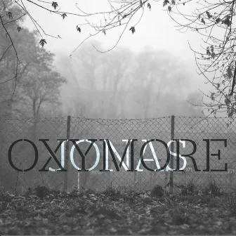 Oxymore by Jonas