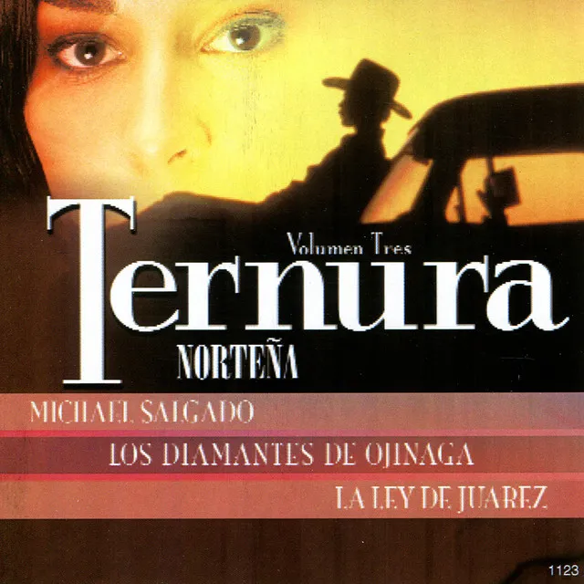 Ternura Norteña, Vol. 3