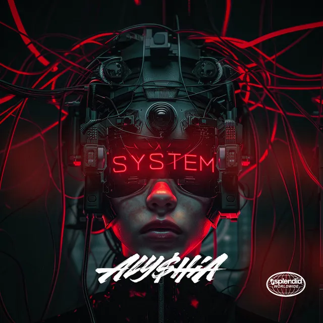 System