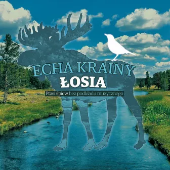 Echa krainy łosia - ptasi śpiew bez podkładu muzycznego by Odgłosy Natury