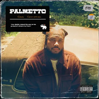 PALMETTO by Cam Christian