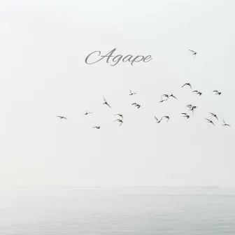 Agape by Soji Joseph