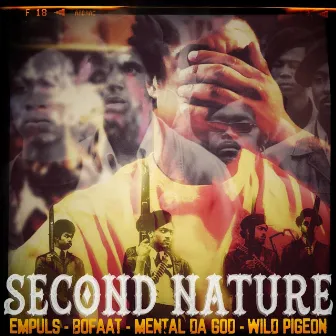 Second Nature by Wild Pigeon