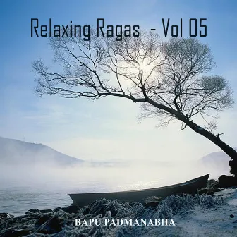 Relaxing Ragas, Vol. 5 by Bapu Padmanabha