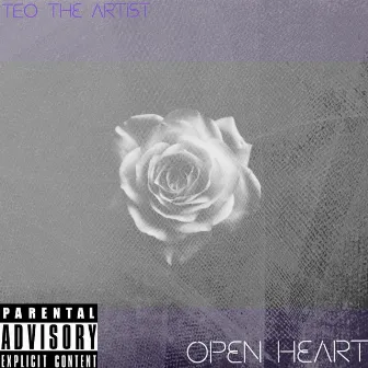 Open Heart by Teo the Artist