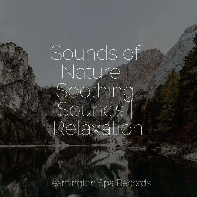 Sounds of Nature | Soothing Sounds | Relaxation