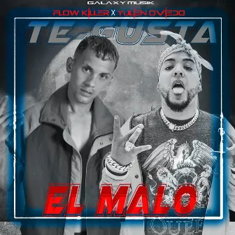 Te Gusta el Malo by Flow Killer