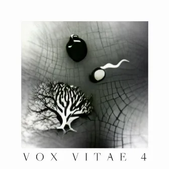 Vox Vitae 4 by Cecilia Gauna