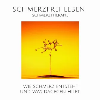 Schmerz ist auch nur ein Gefühl: Schmerzfrei leben durch moderne Schmerztherapie (Wie Schmerz entsteht und was dagegen hilft) by Andreas Koch