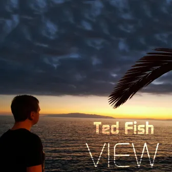 View by Ted Fish