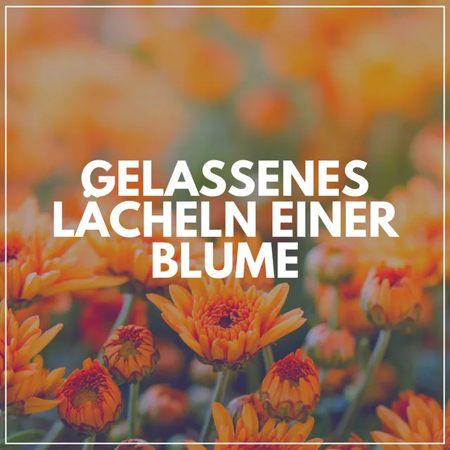 Gelassenes Lächeln Einer Blume