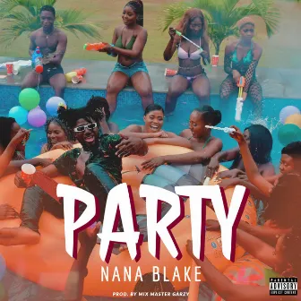 Party by Nana Blake