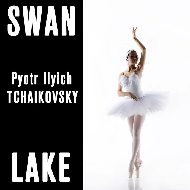 Swan Lake, Op. 20: No. 13, Danse des cygnes: II. Moderato assai