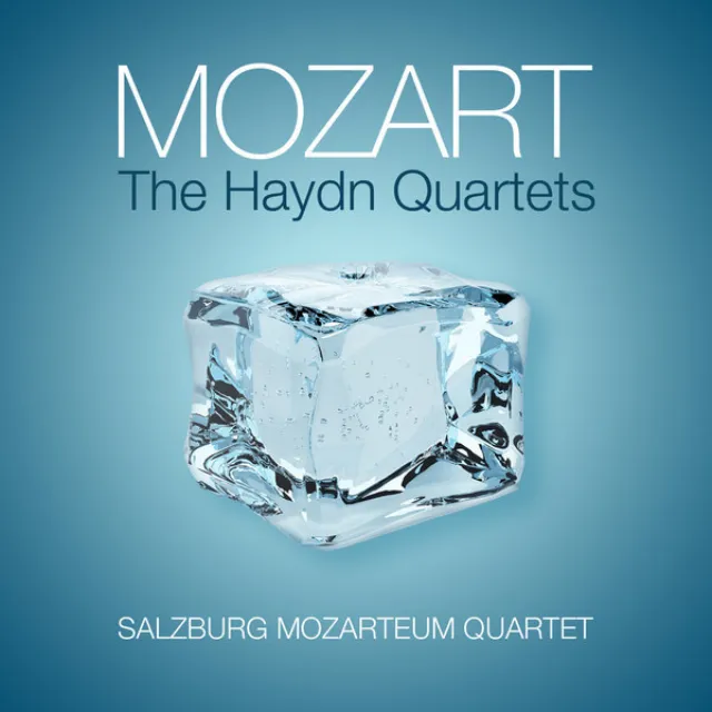 String Quartet No. 15 in D Minor, K. 421 (Haydn Quartet No. 2): I. Allegro