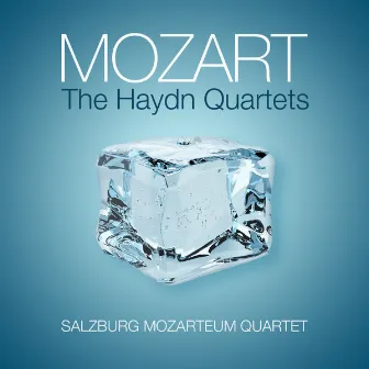 Mozart: The Haydn Quartets by Mozarteum Quartet Salzburg