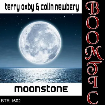 Moonstone by Colin Newbery