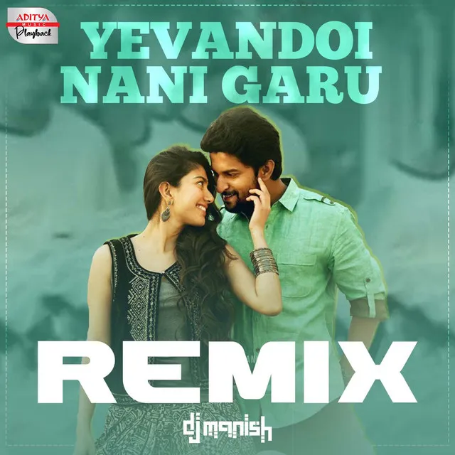 Yevandoi Nani Garu Official Remix