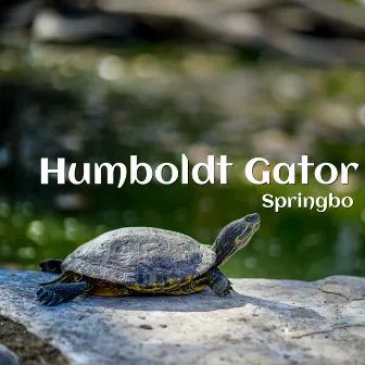 Humboldt Gator by Springbo