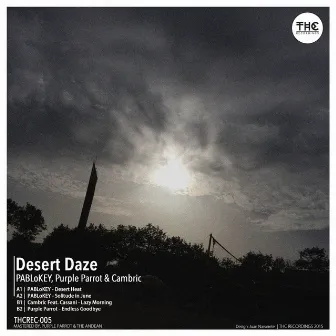 Desert Daze EP by Purple Parrot