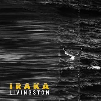 Livingston by Iraka