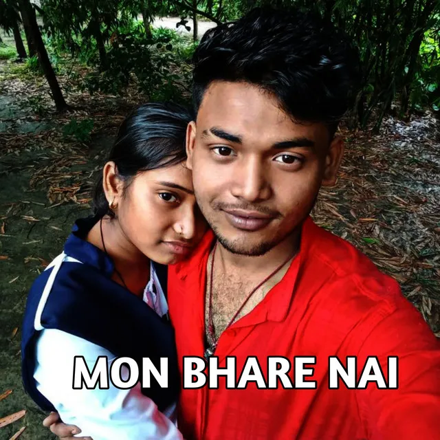 Mon bhare nai