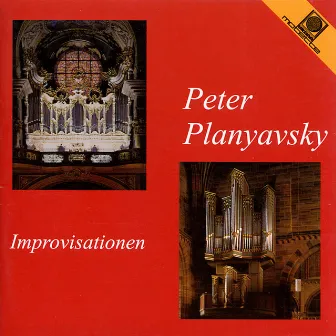 Peter Planyavsky improvisiert (Planyavsky, Peter) by Peter